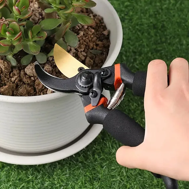 Garden Pruning Shears, Plant Cutting, Horticulture Hand Pruner, Shrub Scissor, Orchard Branch Shear, Professional Pruning Tool