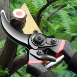Garden Pruning Shears, Plant Cutting, Horticulture Hand Pruner, Shrub Scissor, Orchard Branch Shear, Professional Pruning Tool