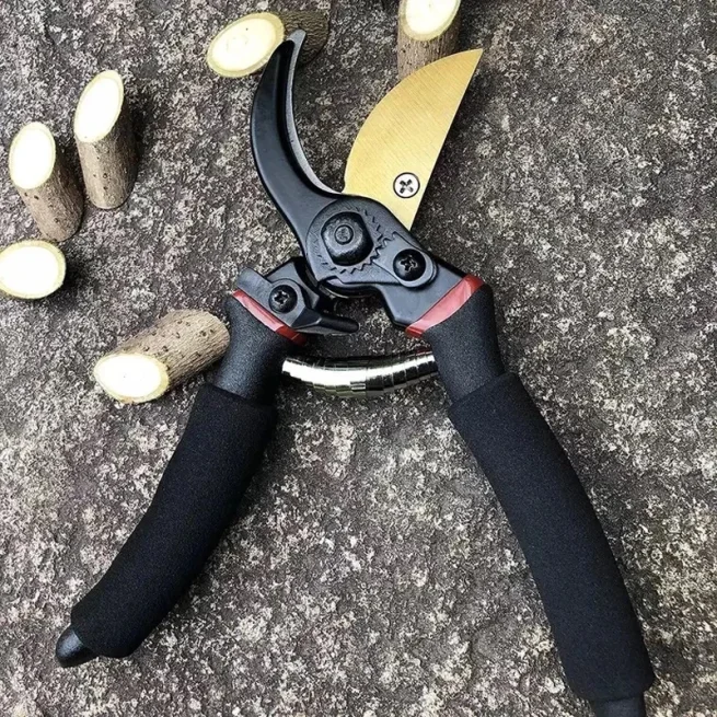 Garden Pruning Shears, Plant Cutting, Horticulture Hand Pruner, Shrub Scissor, Orchard Branch Shear, Professional Pruning Tool