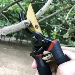 Garden Pruning Shears, Plant Cutting, Horticulture Hand Pruner, Shrub Scissor, Orchard Branch Shear, Professional Pruning Tool