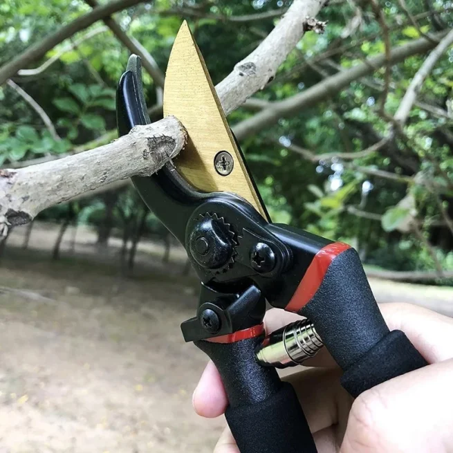 Garden Pruning Shears, Plant Cutting, Horticulture Hand Pruner, Shrub Scissor, Orchard Branch Shear, Professional Pruning Tool