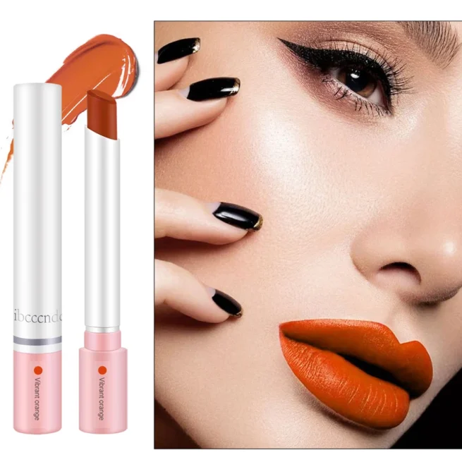 Waterproof Matte Long Lasting Makeup Lipstick Set, Tint Lip Gloss, Pomade Cosmetics Kits, 4 Colors