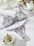 Purple Embroidery Lingerie Set for Women, Sheer Bra, Brief Underwear Set, Sexy Strappy Intimates