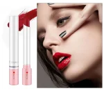 Waterproof Matte Long Lasting Makeup Lipstick Set, Tint Lip Gloss, Pomade Cosmetics Kits, 4 Colors