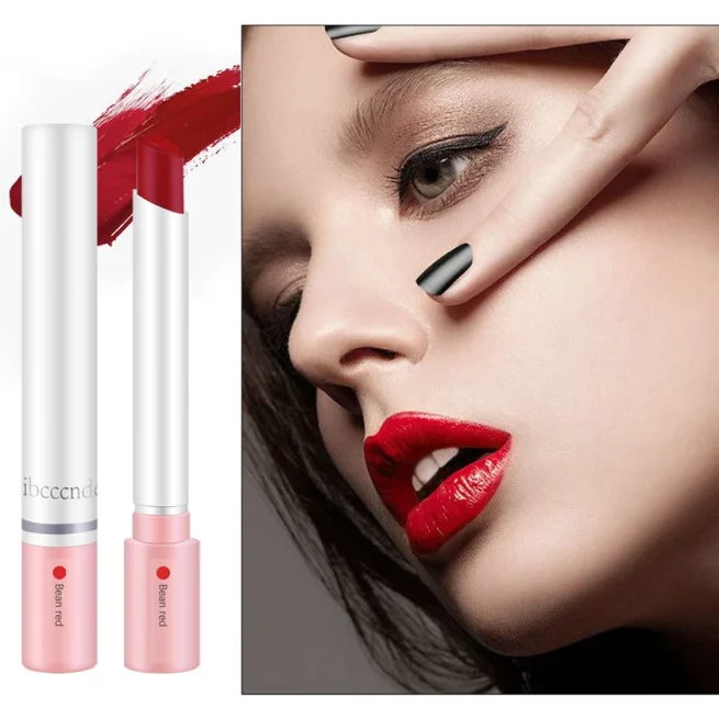 Waterproof Matte Long Lasting Makeup Lipstick Set, Tint Lip Gloss, Pomade Cosmetics Kits, 4 Colors