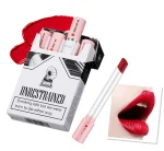 Waterproof Matte Long Lasting Makeup Lipstick Set, Tint Lip Gloss, Pomade Cosmetics Kits, 4 Colors